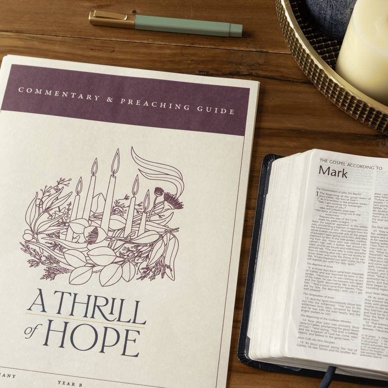 A Thrill of Hope Commentary and Preaching Guide — product photo 2