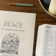 A Thrill of Hope Commentary and Preaching Guide — product photo 3