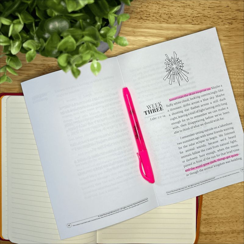 In Light and Darkness Advent Devotional